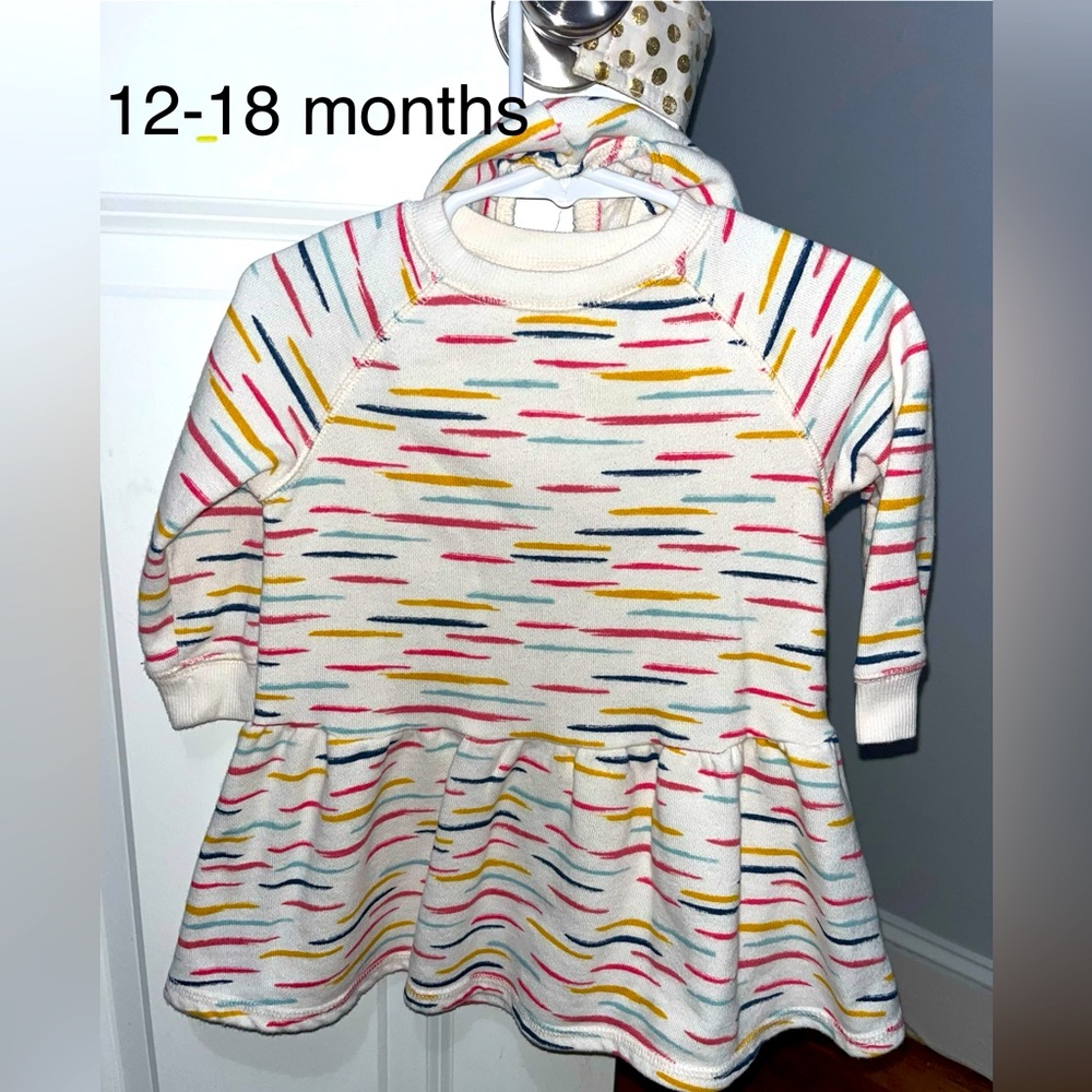 Gymboree Sweatshirt Dress with Diaper Cover